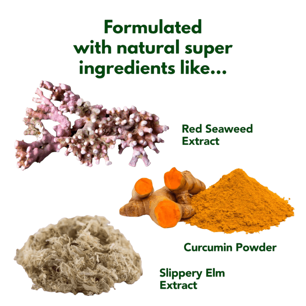 digest-and-protect-complete-digestive-support-horse-supplement INGREDIENTS