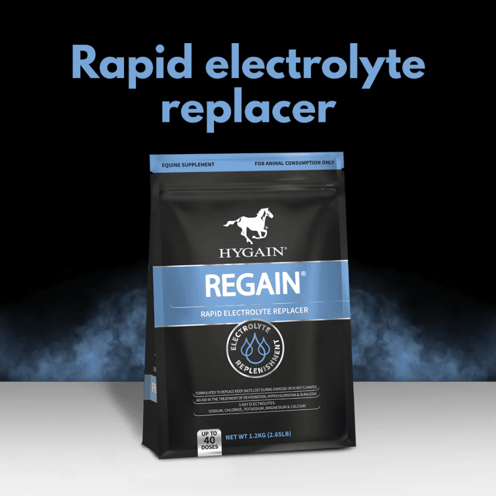 hygain-regain-rapid-electrolyte-replacer-for-horses brand