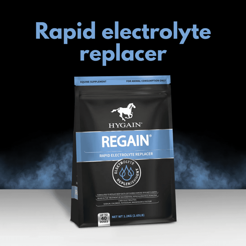 hygain-regain-rapid-electrolyte-replacer-for-horses brand