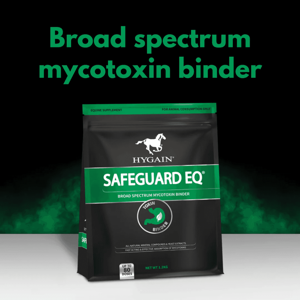 safeguard brand