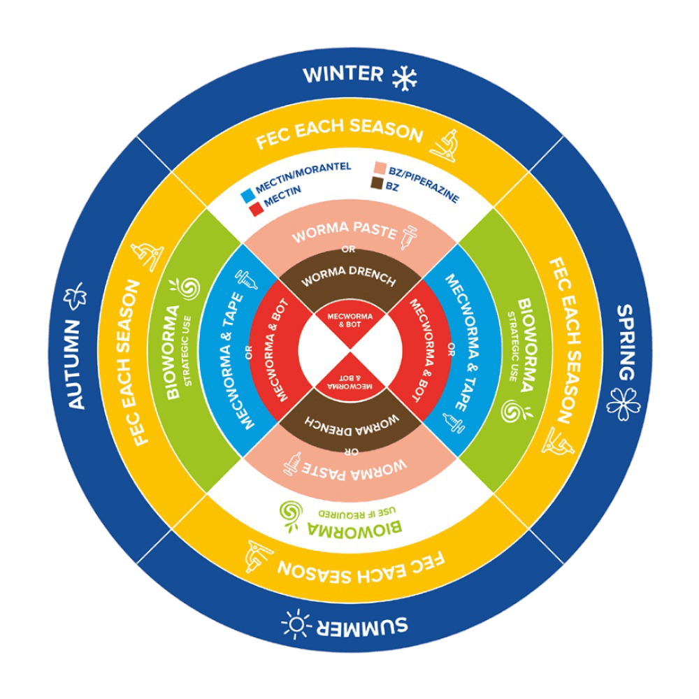 iah-mecworma-and-tape-wormer-paste1