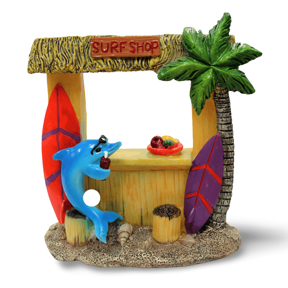 aquatopia-hermit-crab-surf-shop