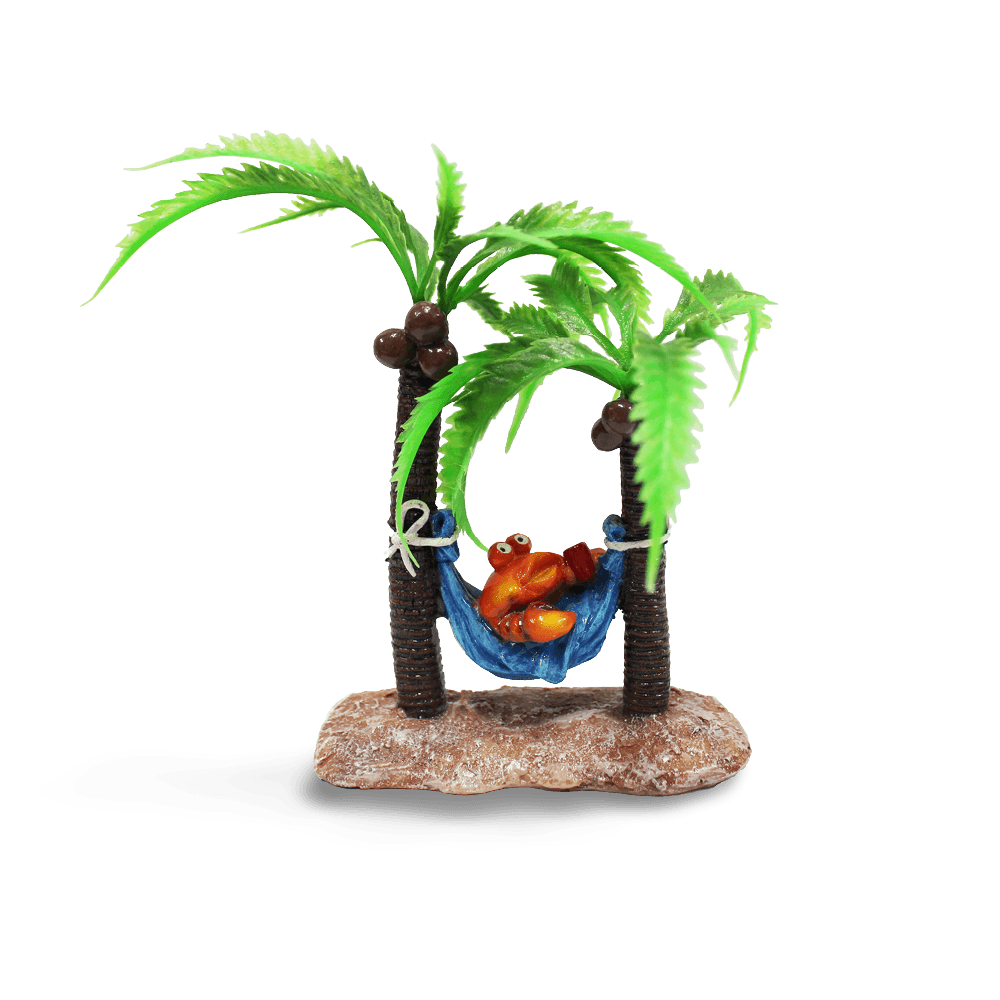 aquatopia-hermit-crab-in-hammock