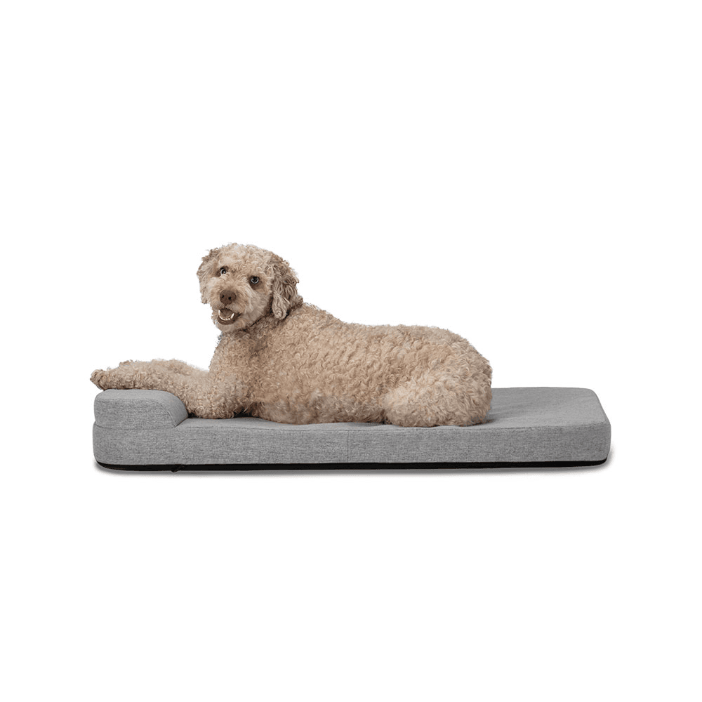 diggs-bolstr-grey-dog-bed