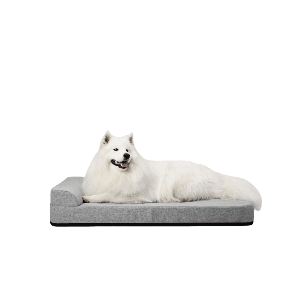 diggs-bolstr-grey-dog-bed
