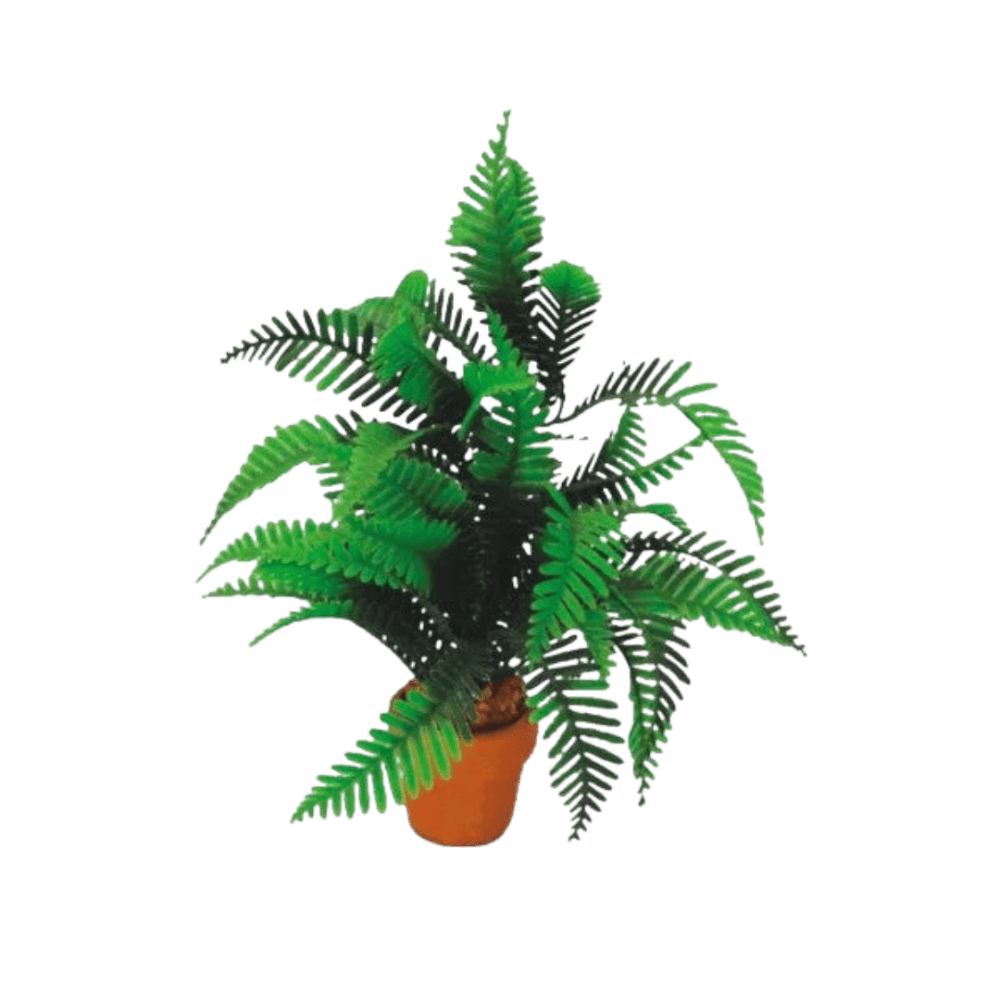 eco-tech-reptile-desert-fern-plant-decor