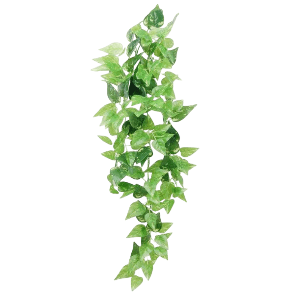 eco-tech-reptile-hanging-honey-ivy-plant-decor