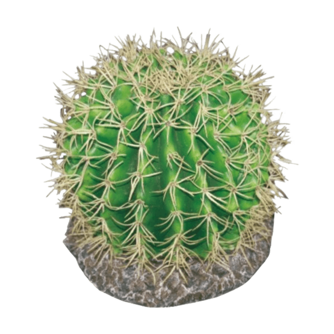 eco-tech-reptile-pineapple-cactus-plant-decor