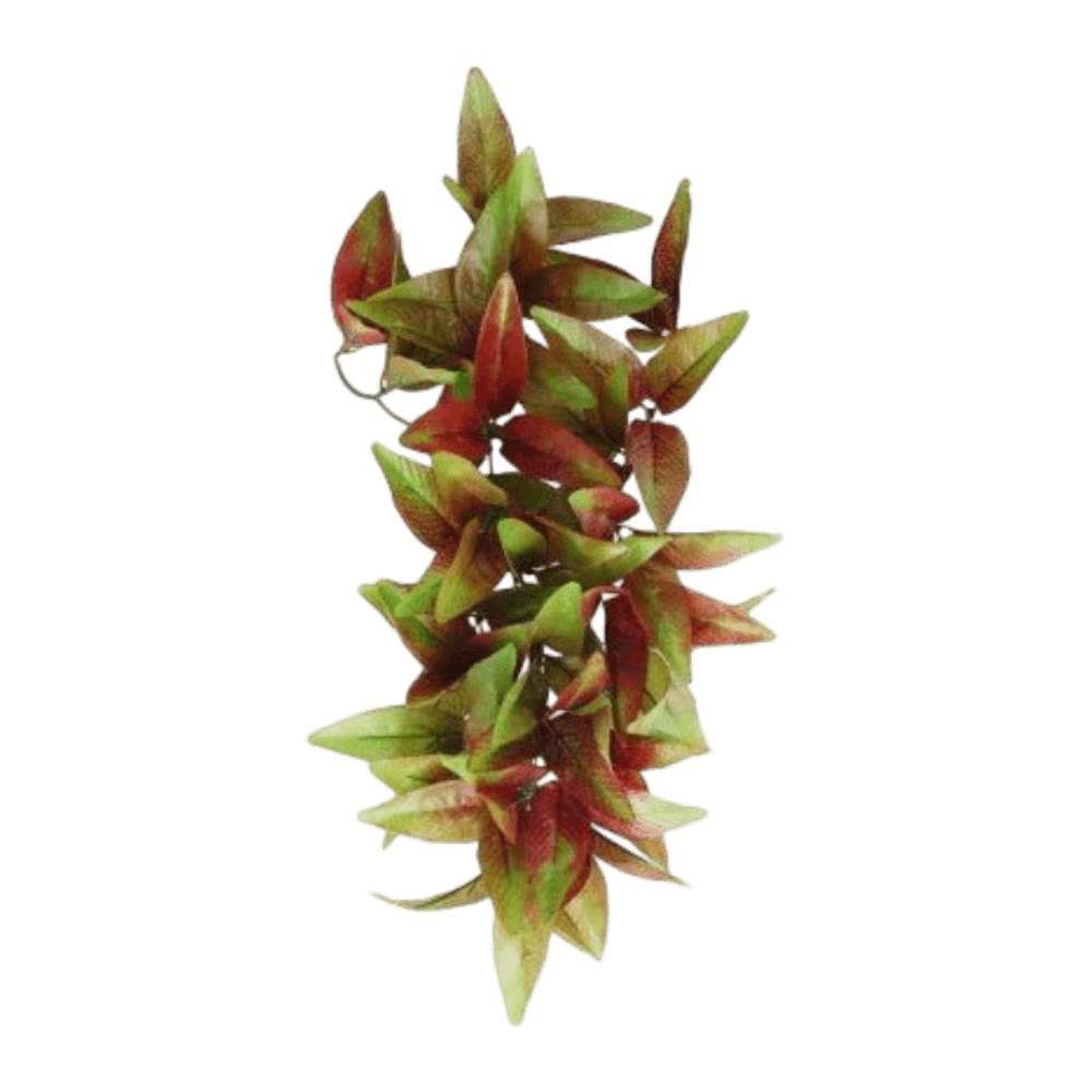 eco-tech-reptile-hanging-radiating-star-plant-decor