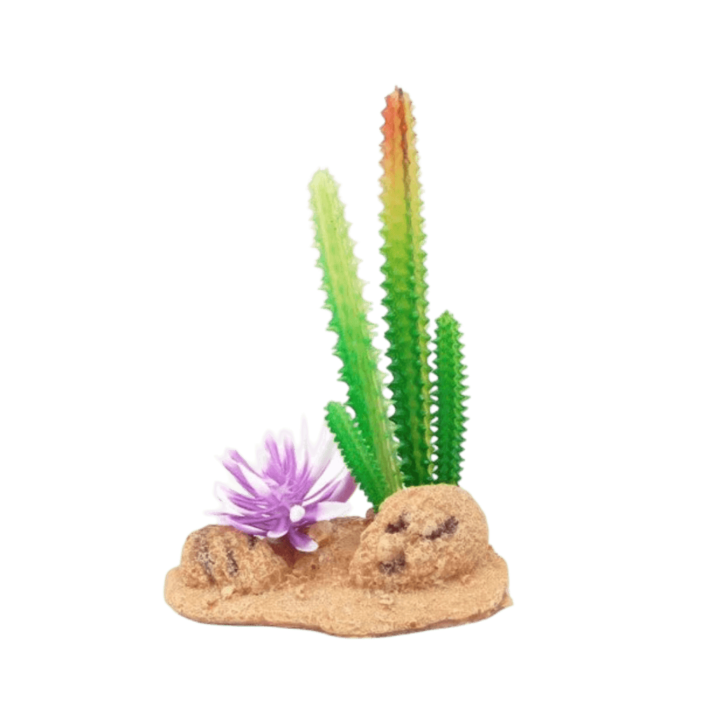 eco-tech-reptile-desert-cactus-with-brush-and-rock-plant-decor