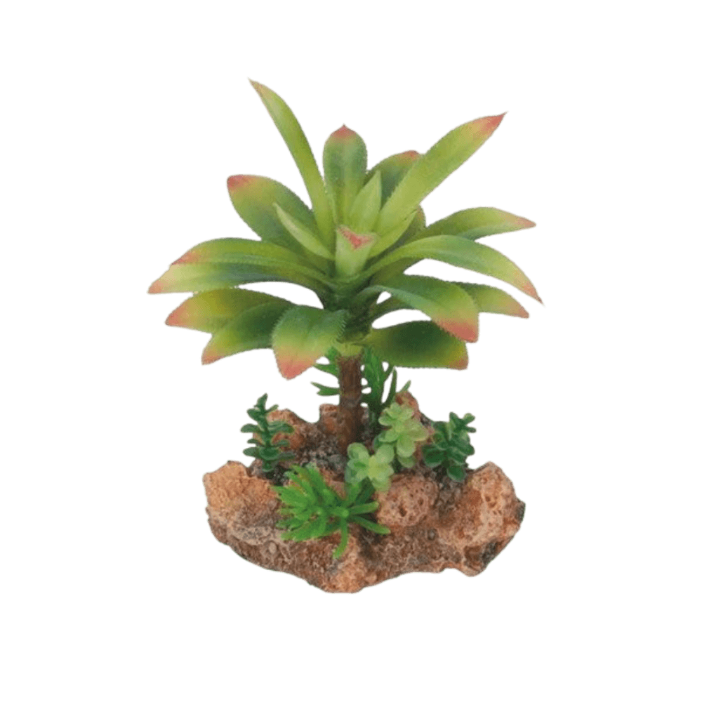 eco-tech-reptile-flowering-cajun-cactus-plant-decor