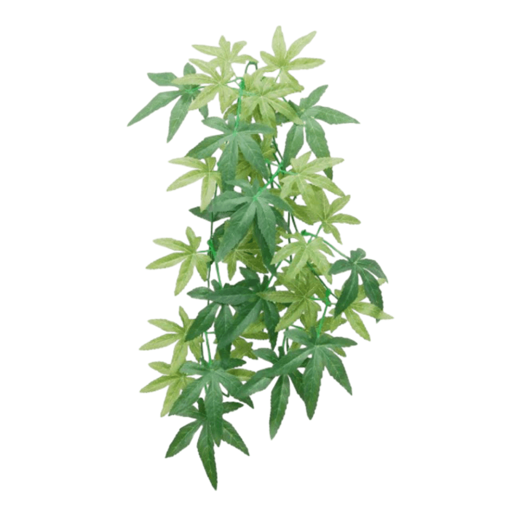 eco-tech-reptile-hanging-albulliton-plant-decor