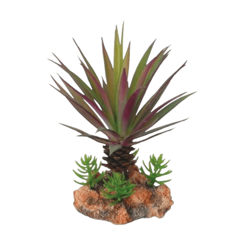 eco-tech-reptile-crimson-spike-cactus-plant-decor