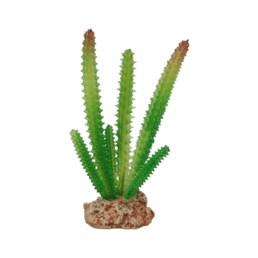 eco-tech-reptile-desert-cactus-plant-decor