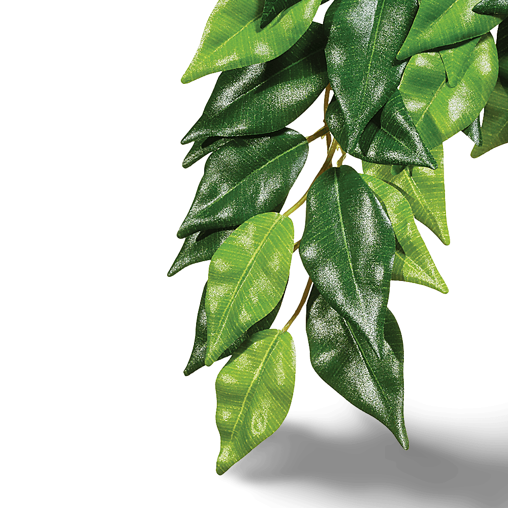 exo-terra-forest-plant-ficus