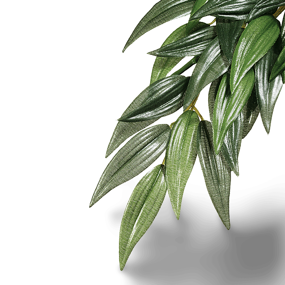 exo-terra-forest-plant-ruscus