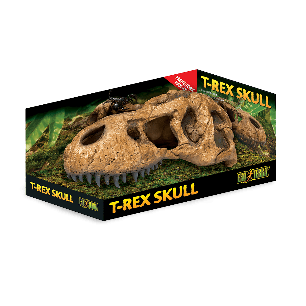 exo-terra-t-rex-skull