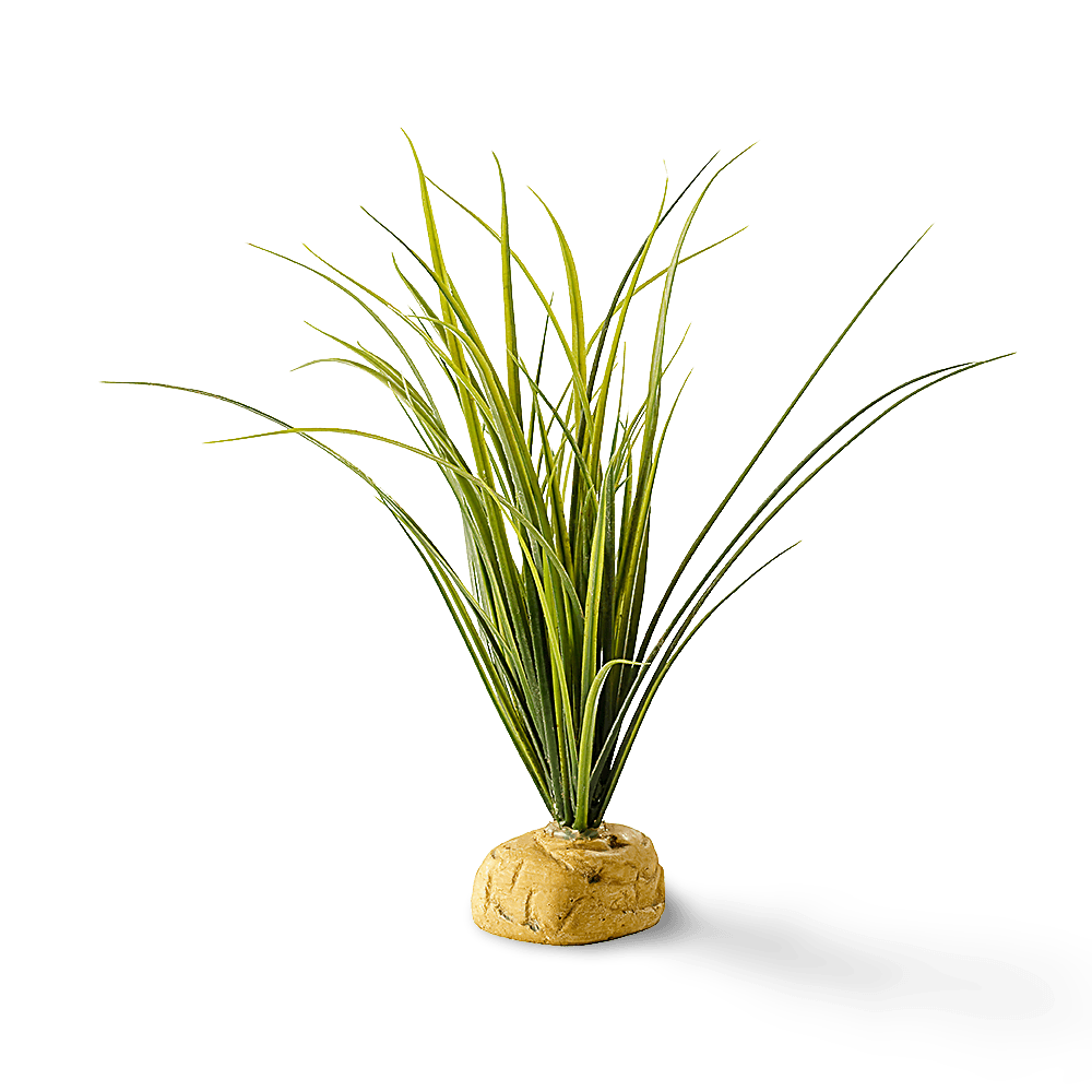 exo-terra-turtle-grass