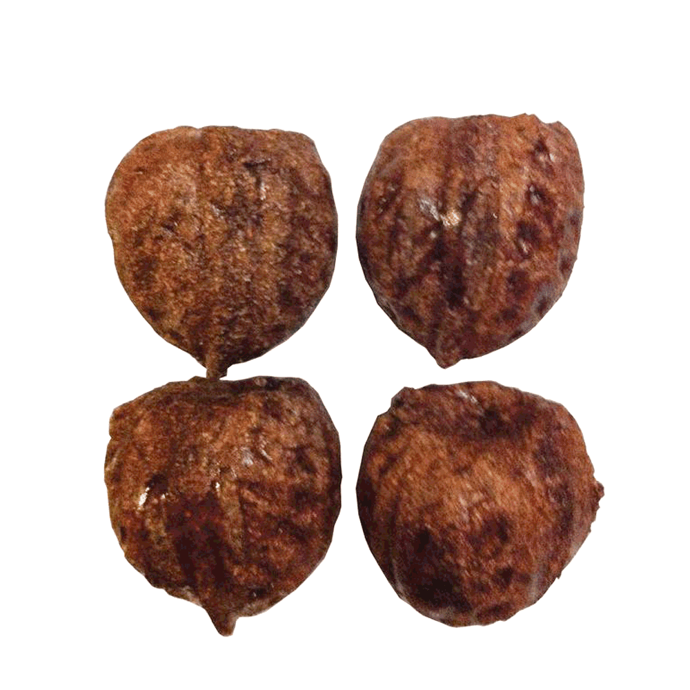 veggie-patch-nibblers-walnut-small-animal-seagrass-chew-treat