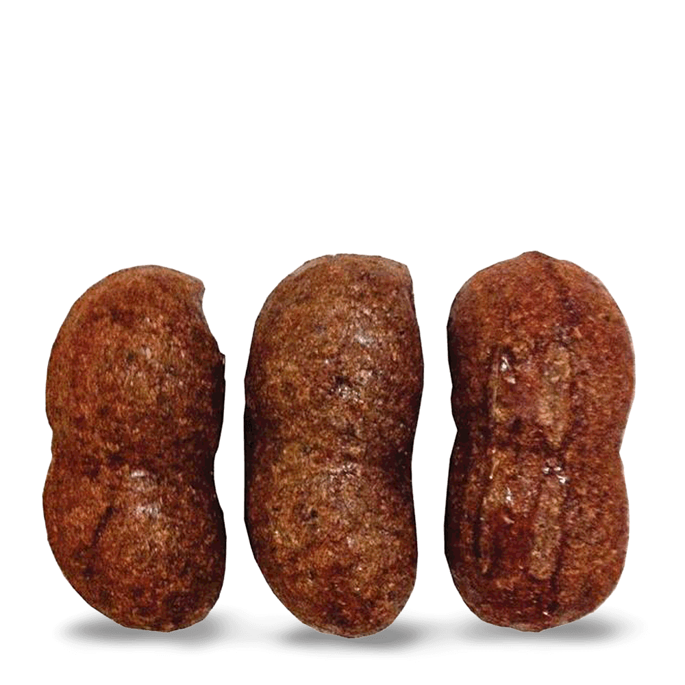 veggie-patch-nibblers-peanuts-small-animal-seagrass-chew-treat