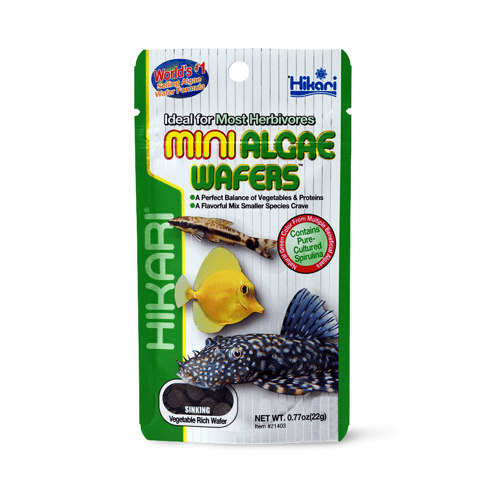 hikari-mini-algae-wafers-for-herbivorous-fish