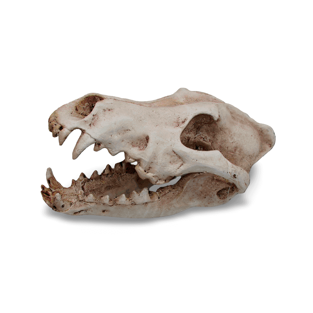 ipetz-wolf-skull-reptile-hideaway