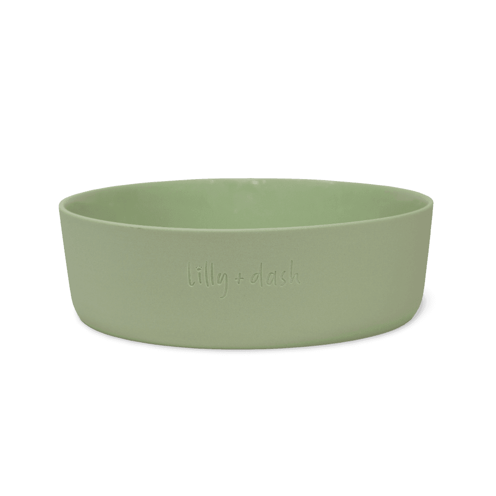 lilly-and-dash-mint-dog-feeding-bowl