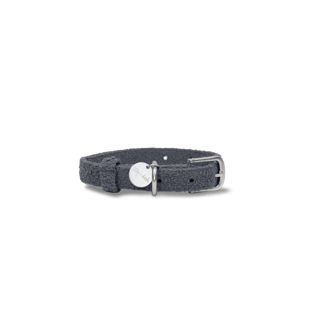 lilly-and-dash-collar-small-dog-charcoal-collar