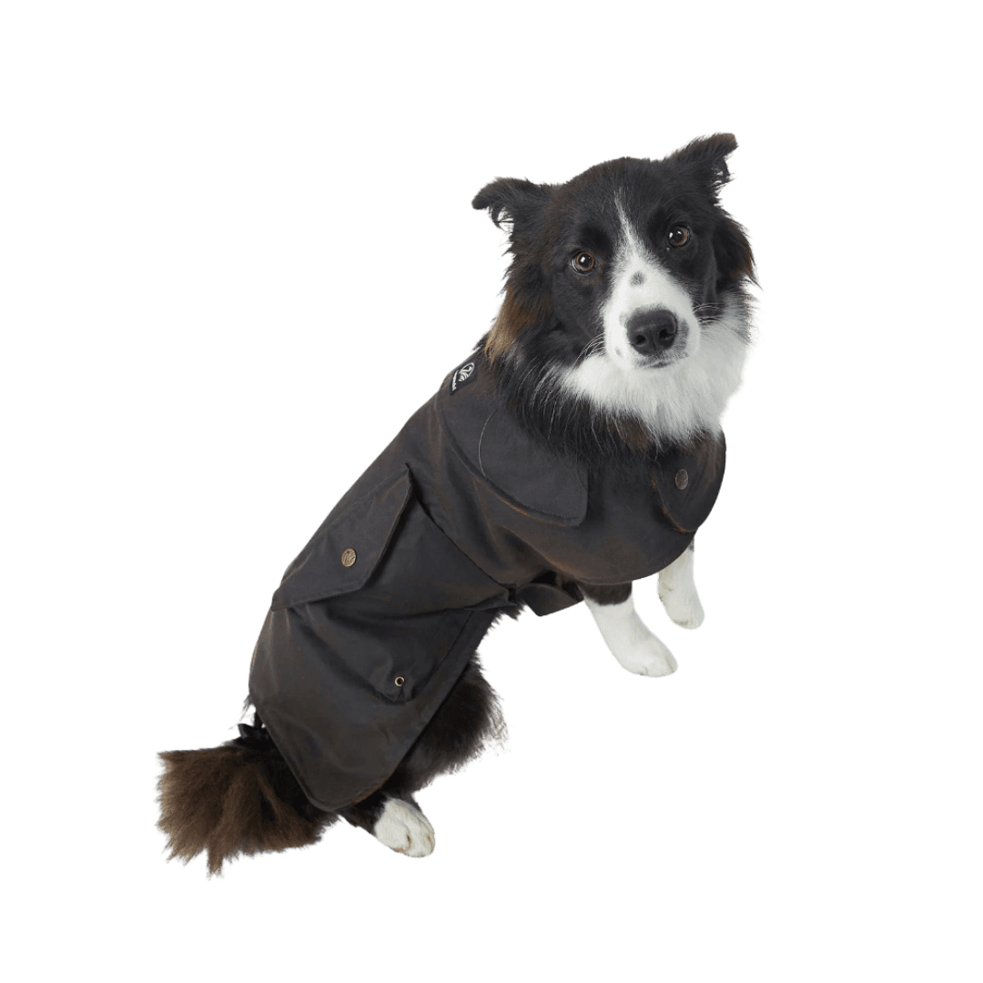 swanndri-hunter-oilskin-dog-coat-brown