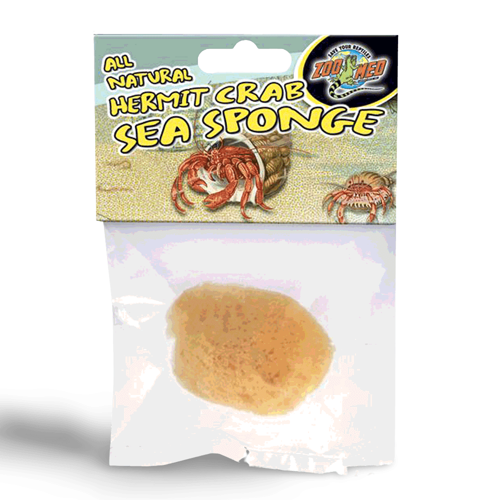 zoo-med-hermit-crab-sea-sponge