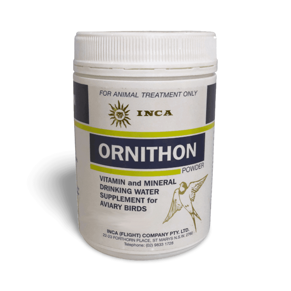 inca-ornithon