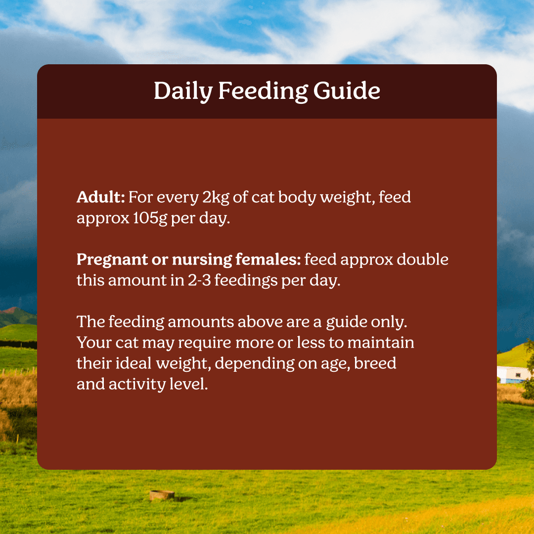 Instinctive Bite Single Protein Beef All Lifestages Wet Cat Food Cans