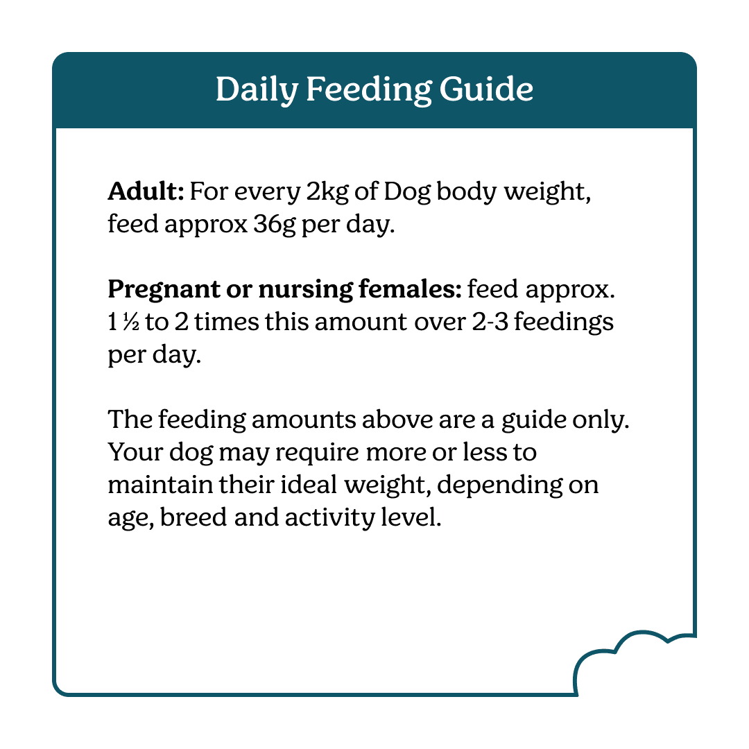Instinctive Bite Beef & Hoki Air Dried All Lifestages Dry Dog Food