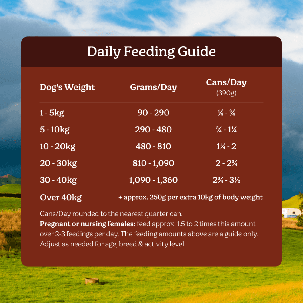 Instinctive Bite Single Protein Beef All Lifestages Wet Dog Food Cans