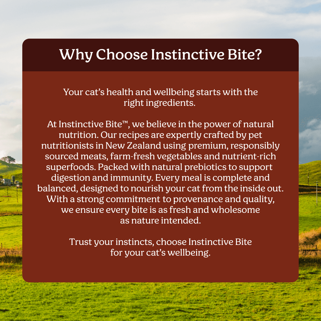 Instinctive Bite Single Protein Beef All Lifestages Wet Cat Food Cans