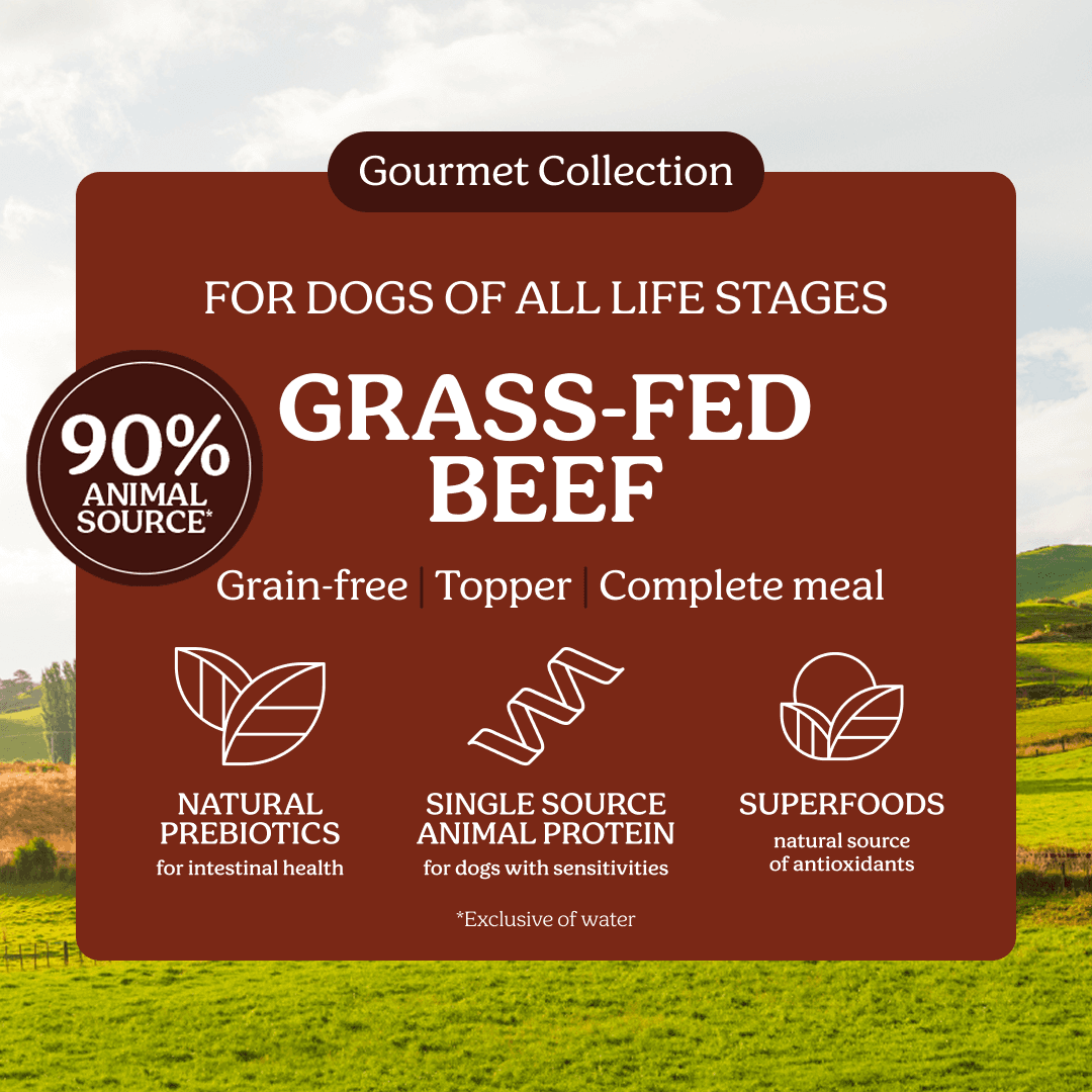 Instinctive Bite Single Protein Beef All Lifestages Wet Dog Food Cans
