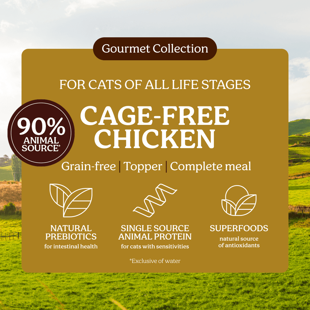Instinctive Bite Single Protein Chicken All Lifestages Wet Cat Food Cans