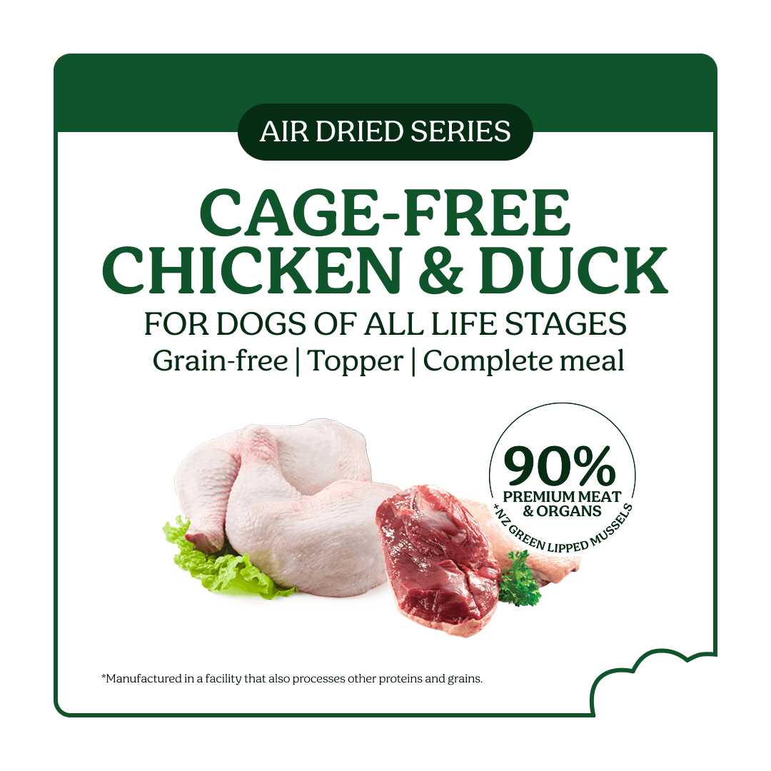 Instinctive Bite Chicken & Duck Air Dried All Lifestages Dry Dog Food
