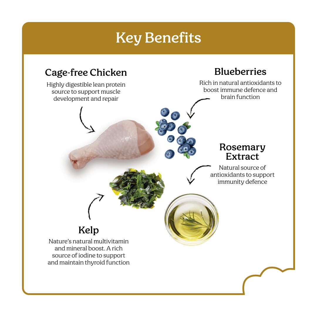 Instinctive Bite Single Protein Chicken Air Dried All Lifestages Dry Dog Food