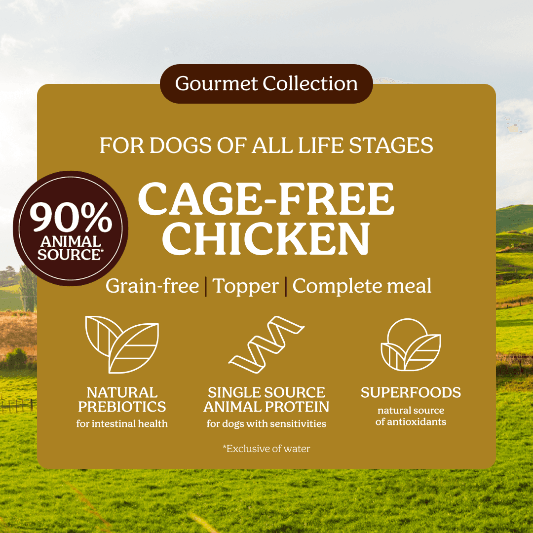 Instinctive Bite Single Protein Chicken All Lifestages Wet Dog Food Cans