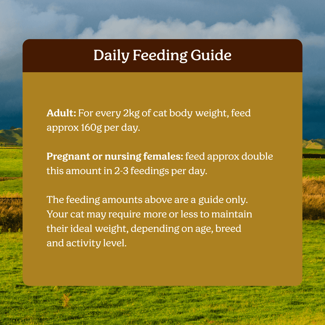 Instinctive Bite Single Protein Chicken All Lifestages Wet Cat Food Cans