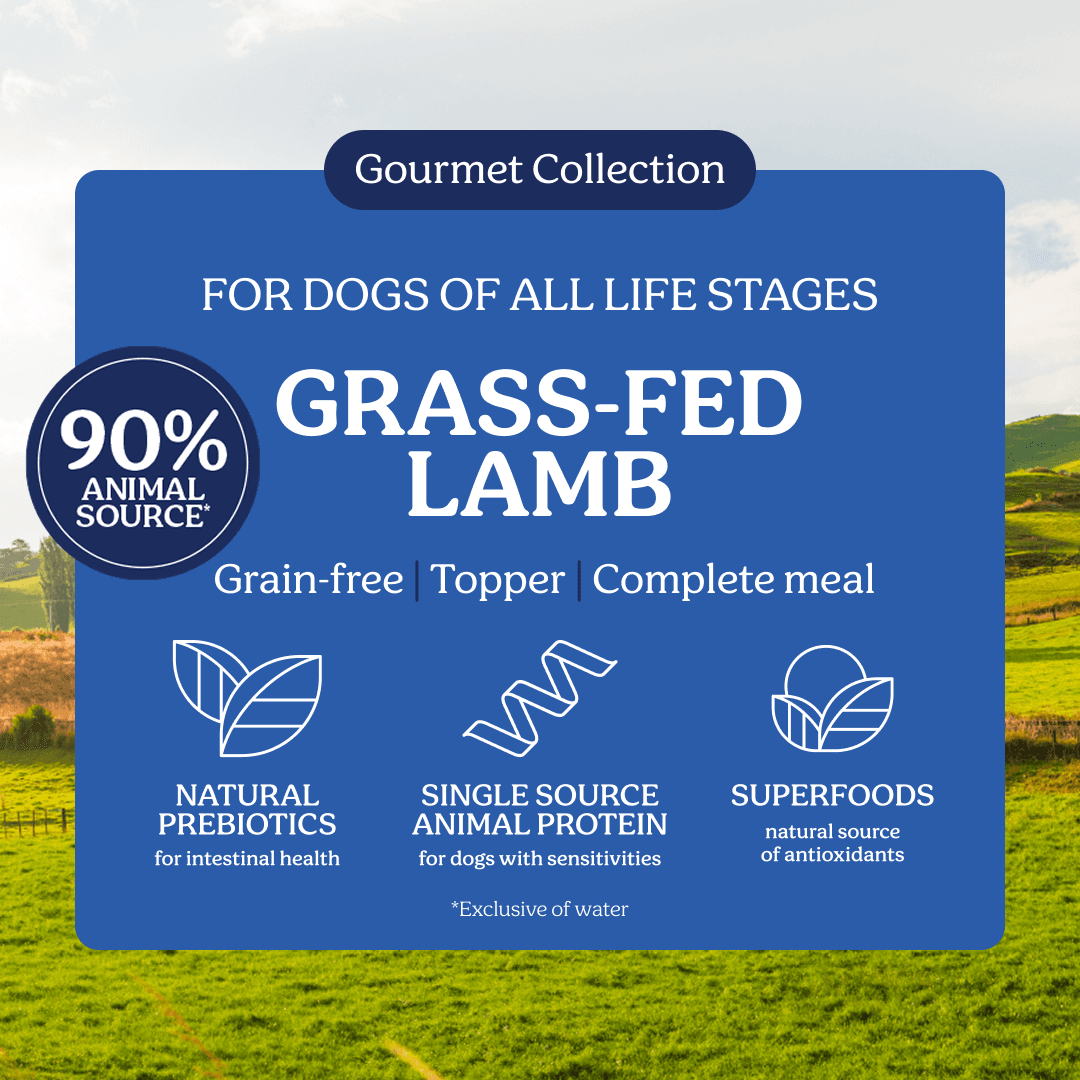 Instinctive Bite Single Protein Lamb All Lifestages Wet Dog Food Cans