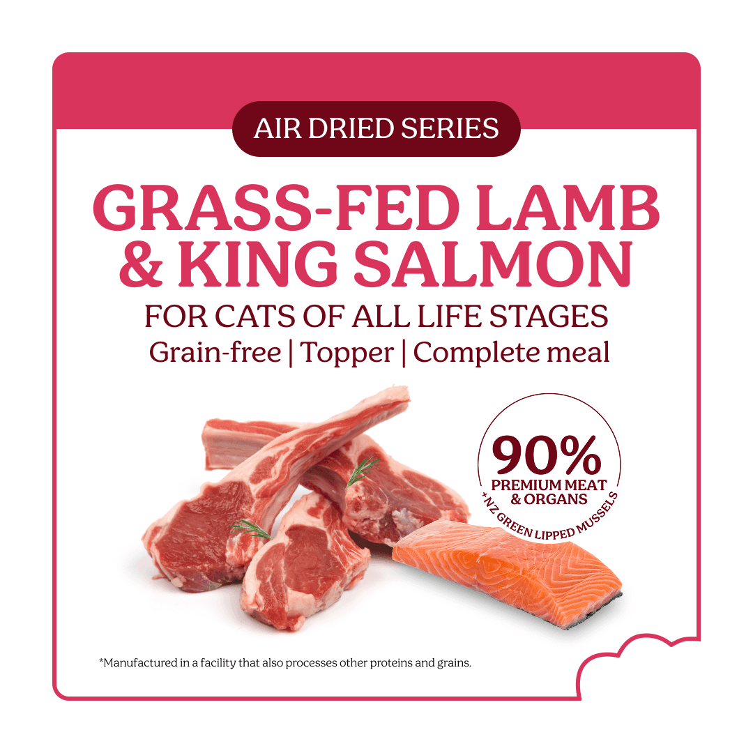 Instinctive Bite Lamb & Salmon Air Dried All Lifestages Dry Cat Food