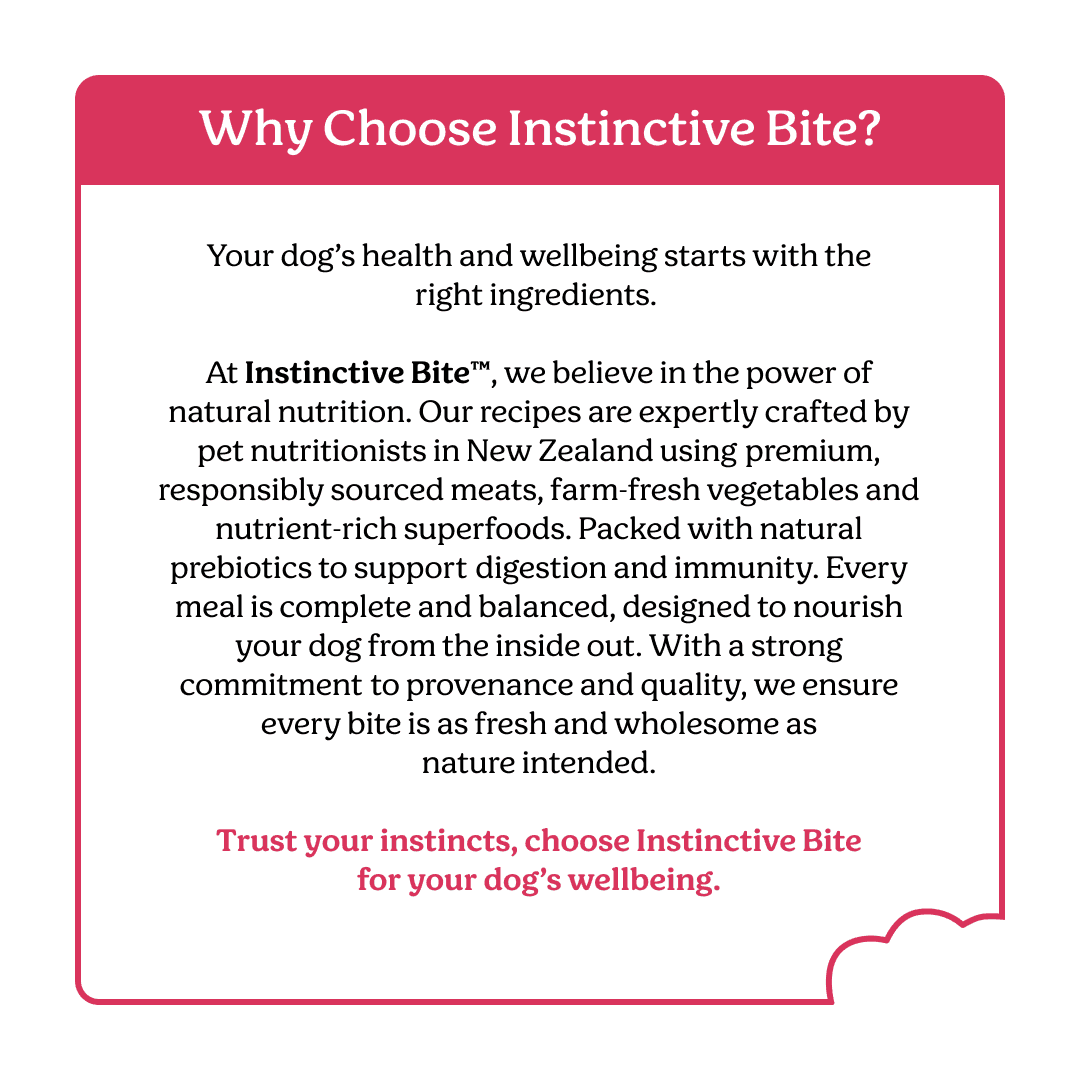 Instinctive Bite Lamb & Salmon Air Dried All Lifestages Dry Dog Food