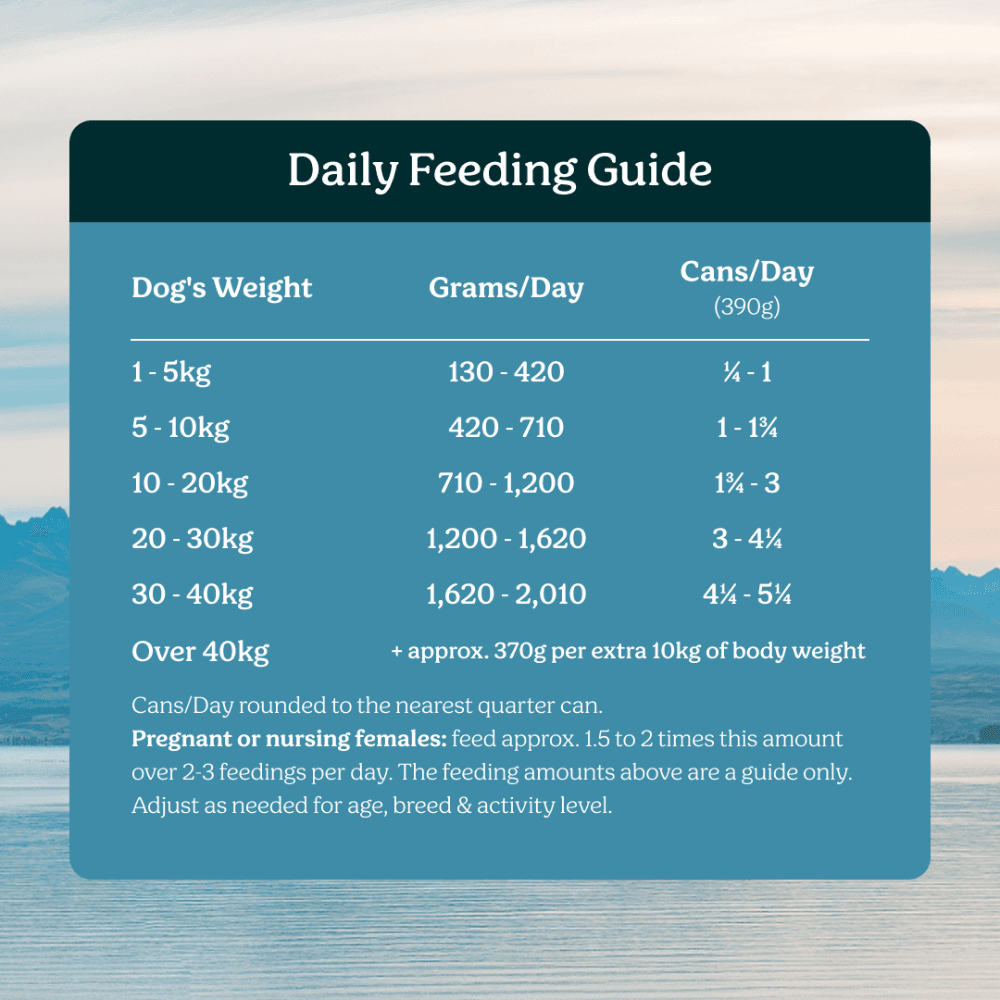 Instinctive Bite Lamb & Mackerel All Lifestages Wet Dog Food Cans