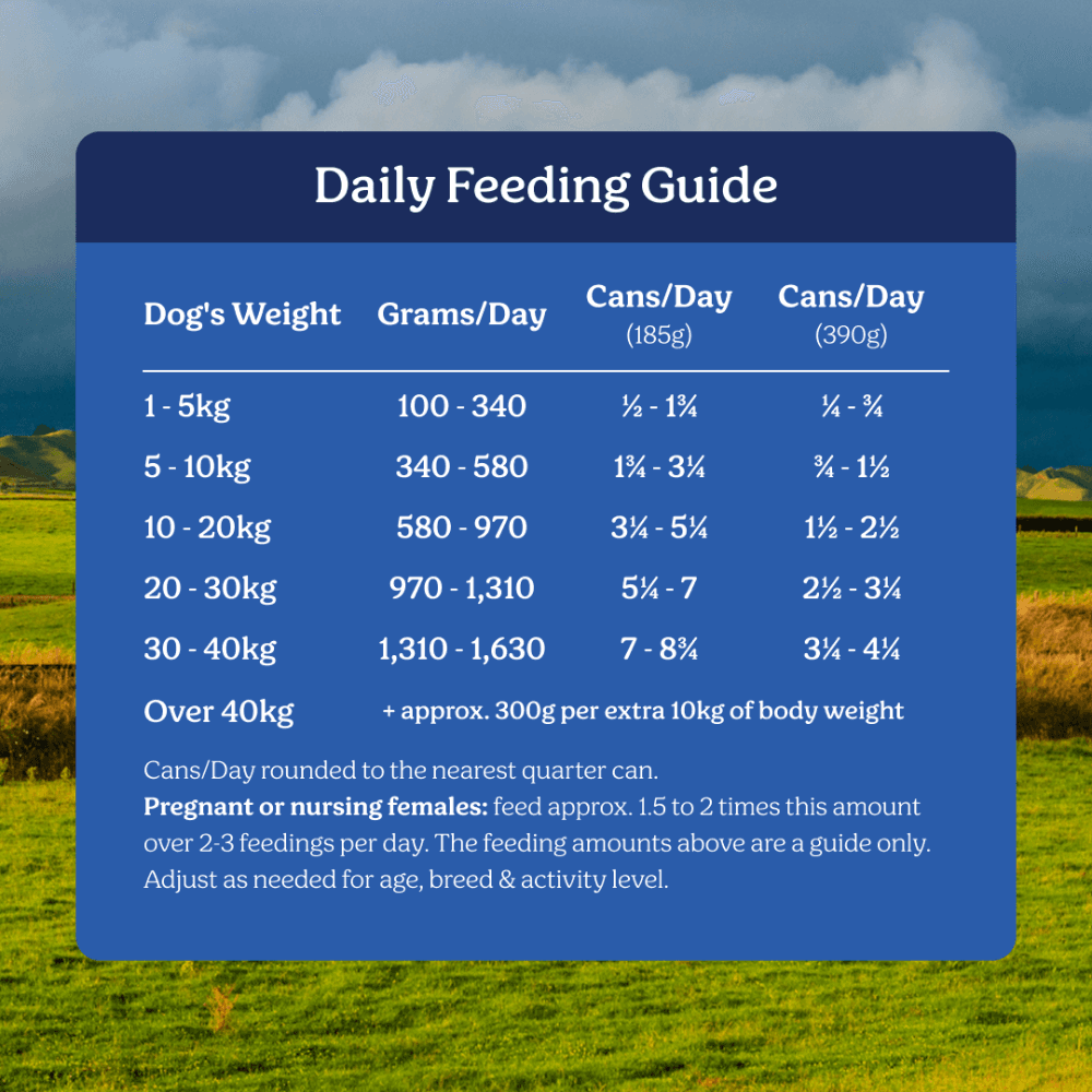 Instinctive Bite Single Protein Lamb All Lifestages Wet Dog Food Cans