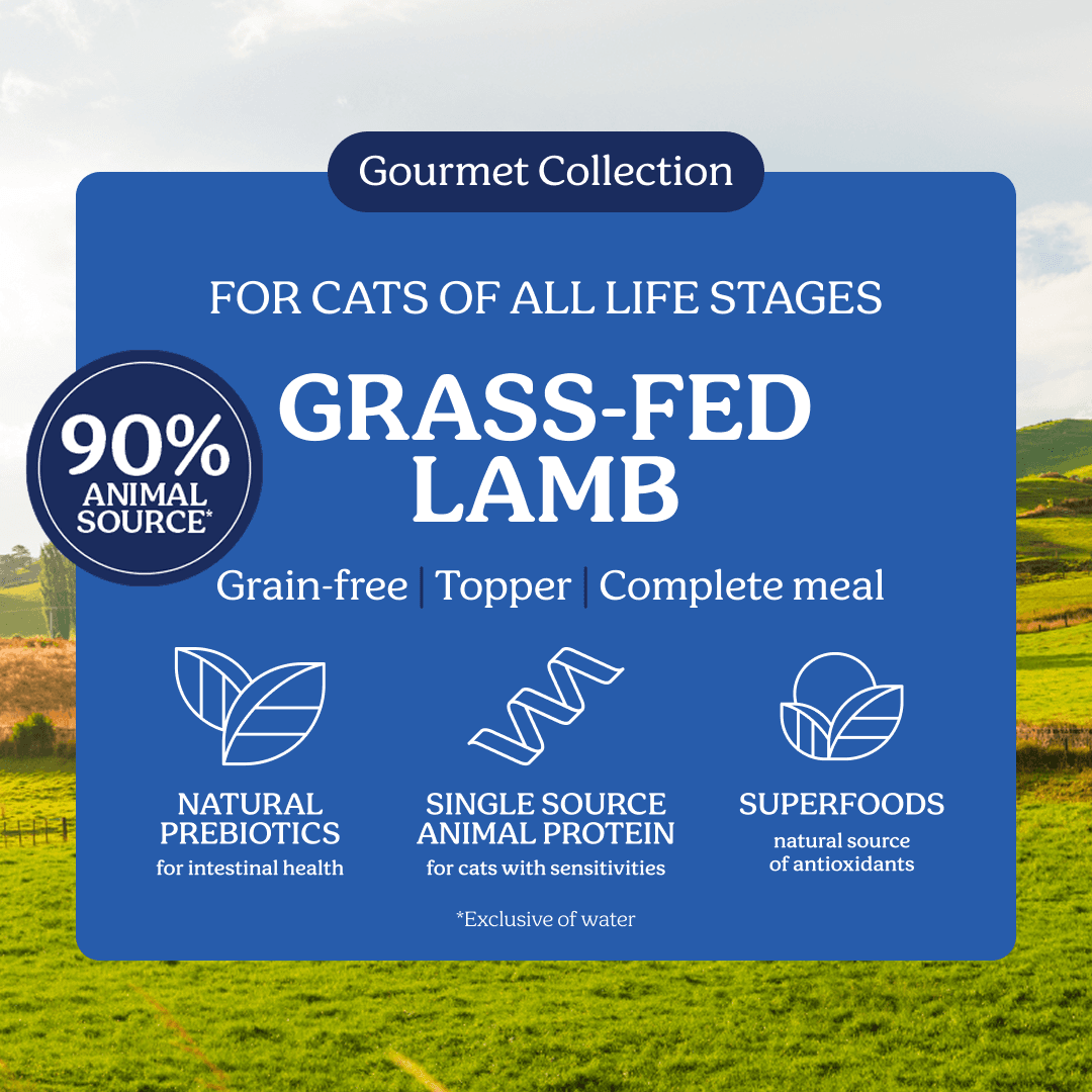 Instinctive Bite Single Protein Lamb All Lifestages Wet Cat Food Cans