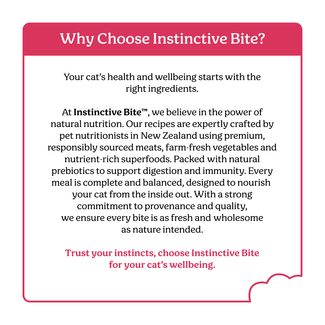 Instinctive Bite Lamb & Salmon Air Dried All Lifestages Dry Cat Food