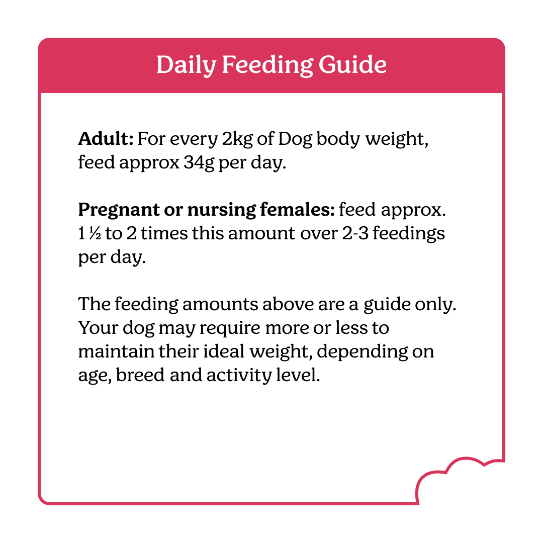Instinctive Bite Lamb & Salmon Air Dried All Lifestages Dry Dog Food