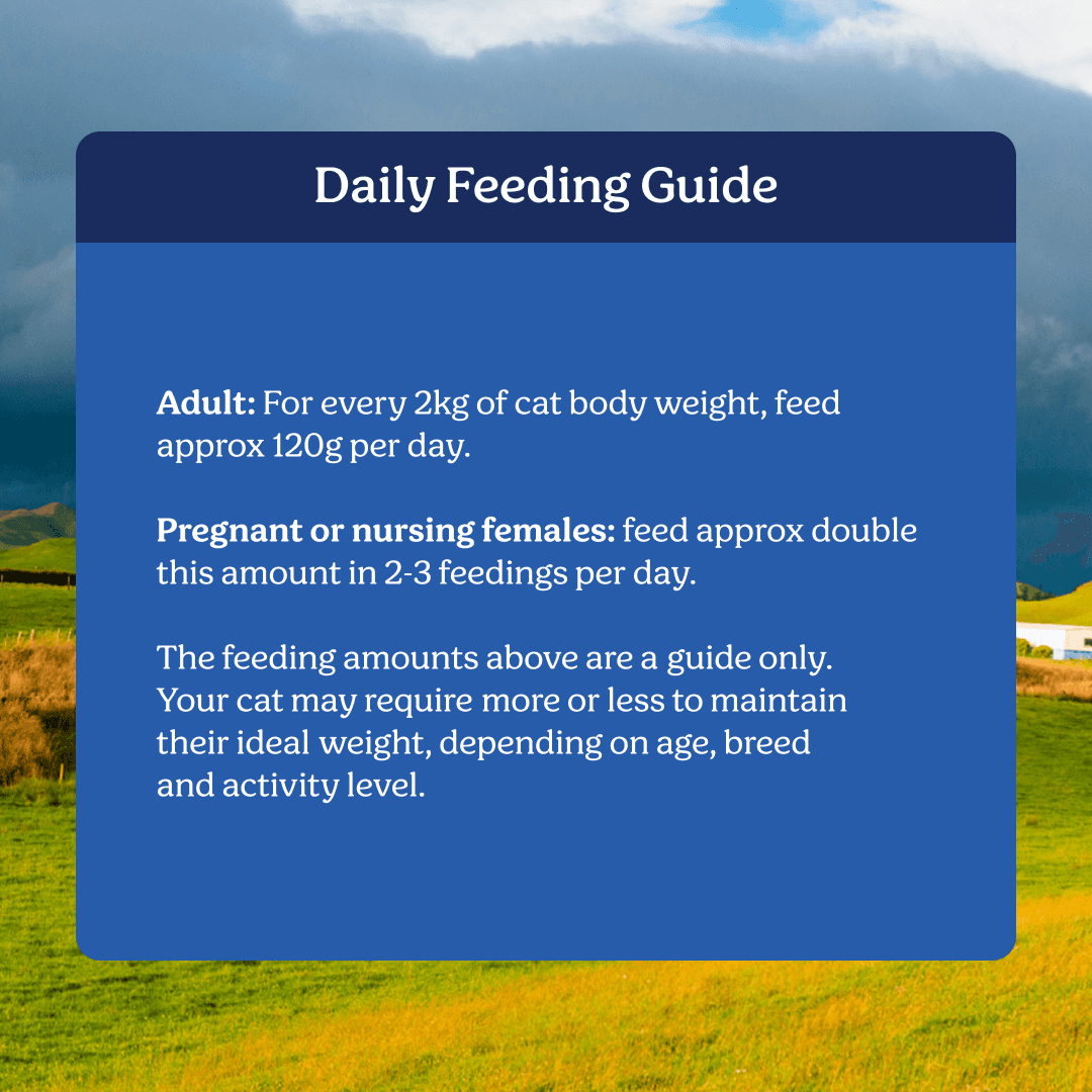 Instinctive Bite Single Protein Lamb All Lifestages Wet Cat Food Cans